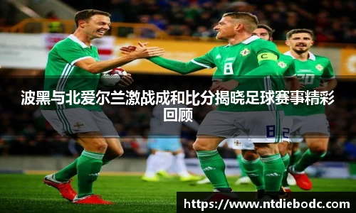 波黑与北爱尔兰激战成和比分揭晓足球赛事精彩回顾