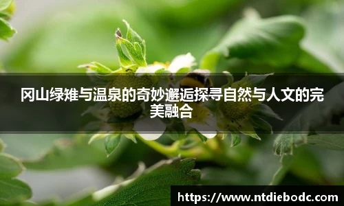 冈山绿雉与温泉的奇妙邂逅探寻自然与人文的完美融合